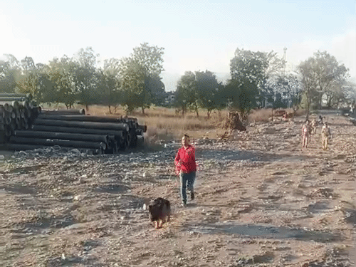 सर्च अभियान चलाती डॉग स्क्वायड की टीम।