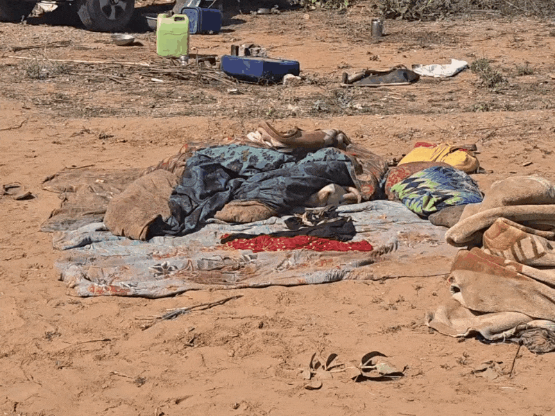 हादसे के बाद मौके पर चीख-पुकार मच गई। बिस्तर खून से सन गए। स्थानीय लोगों की मदद से घायलों को हॉस्पिटल पहुंचाया गया।