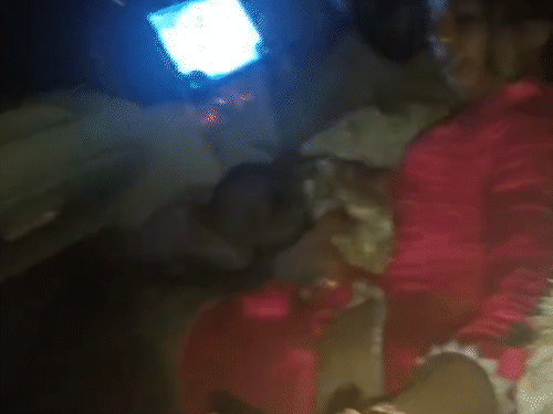 ट्रेलर ने तंबू में सो रहे दो परिवारों के सात लोगों को कुचल दिया। हादसे के बाद मौके पर पहुंचे लोगों ने घायलों को कार से अस्पताल पहुंचाया।