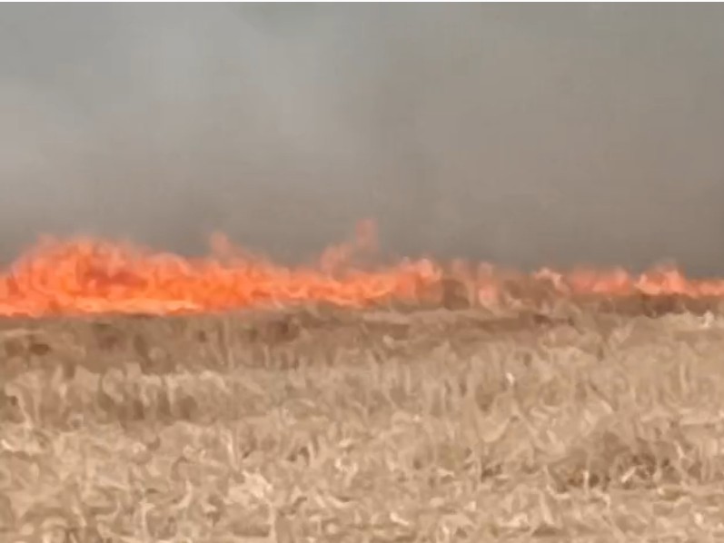 Nonapar Village Fire | Deoria Crops Burned; Bhatni Area Incidents Rise