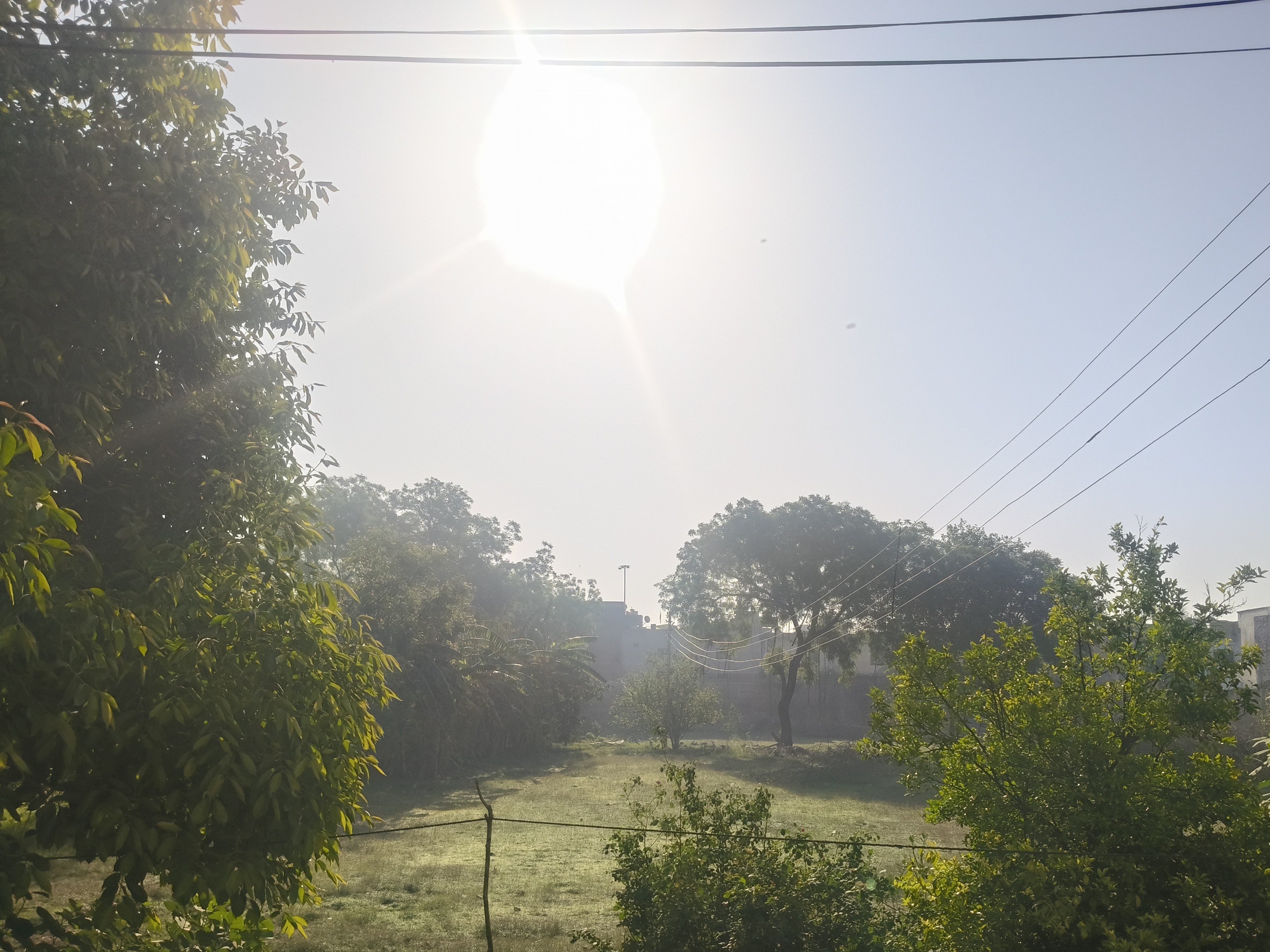 Mathura Weather: Cold Wave Causes Rise in Fever Cases | 33°C High, 21°C Low