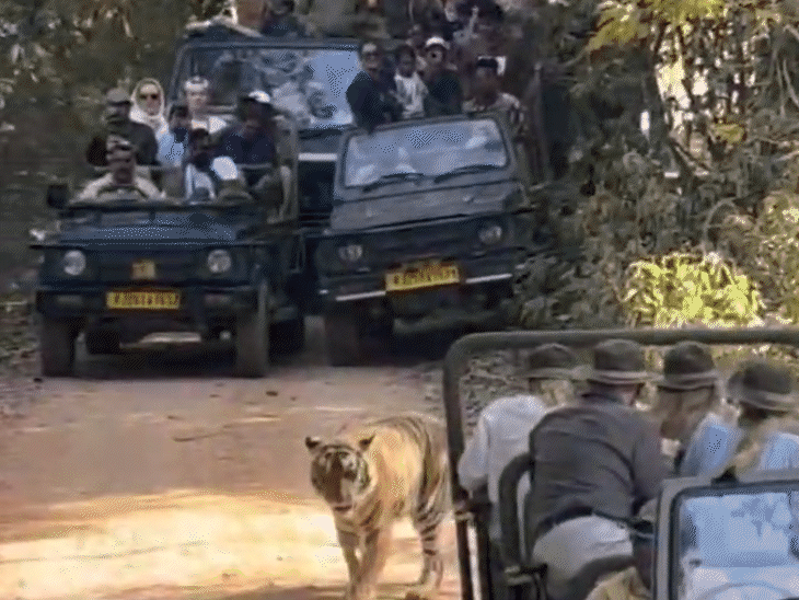 रास्ता रोकने के बाद गाड़ियां काफी देर तक रुकी रही।
