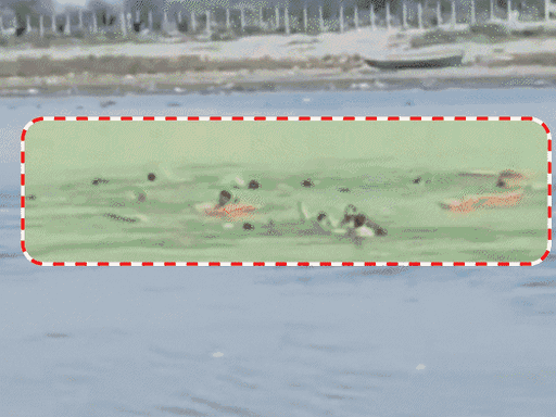 नाव के पलटने के बाद नदी में डूबते श्रद्धालु।