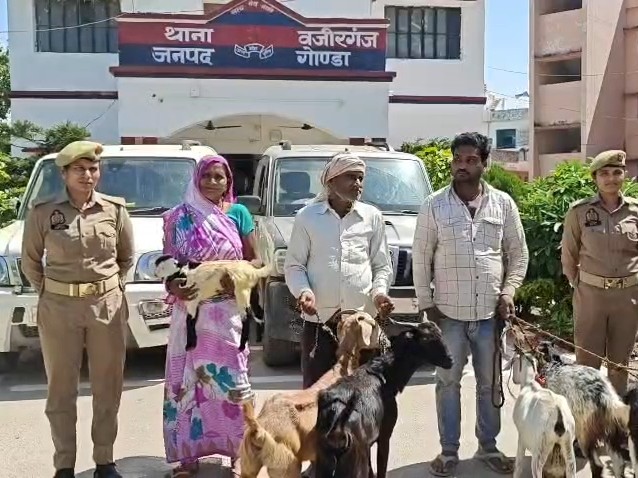 Gonda Goat Thieves Gang Busted | 4 Arrested, 6 Goats Seized