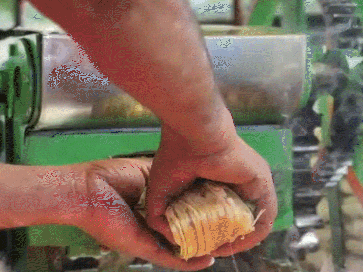 गर्मी से बचाव के लिए अब भोपाल में गन्ने की चरखियों पर भीड़ लगने लगी है। लोग गन्ने के ज्यूस का लुत्फ भी उठा रहे हैं।