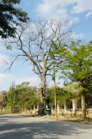 प्रयागराज में मौसम साफ है। तेज धूप की वजह से सुबह से ही गर्मी का एहसास हो रहा है।