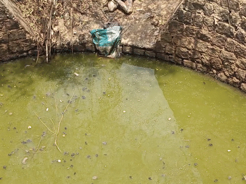 दूसरे केस में बोरी में बंद मिली थी युवक की सड़ी गली लाश।