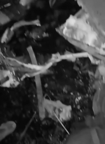 हादसे के बाद सड़क पर बिखरे शव।