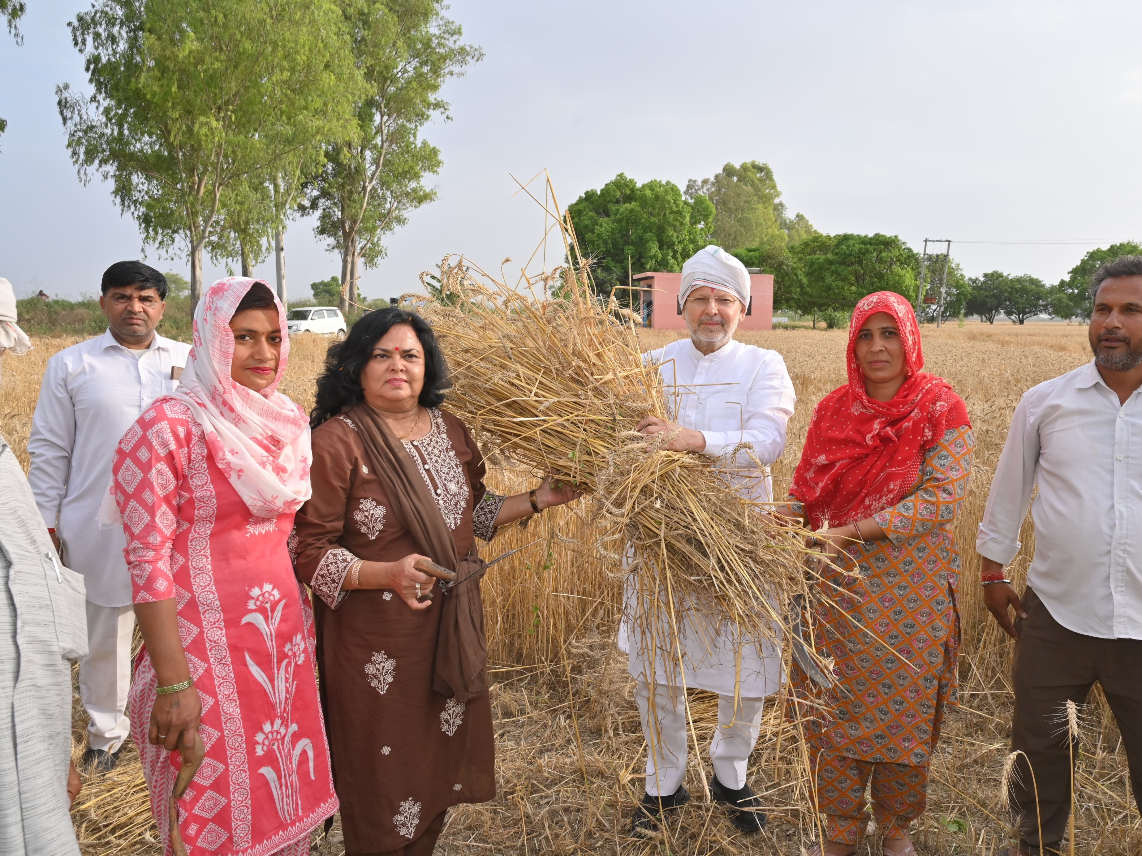 सहकारिता मंत्री डॉ. अरविंद शर्मा ने गेहूं काटने के बाद पूली भी बांधी।