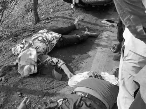 2 अलग-अलग हादसों में 3 लोगों की जान चली गई। - Dainik Bhaskar