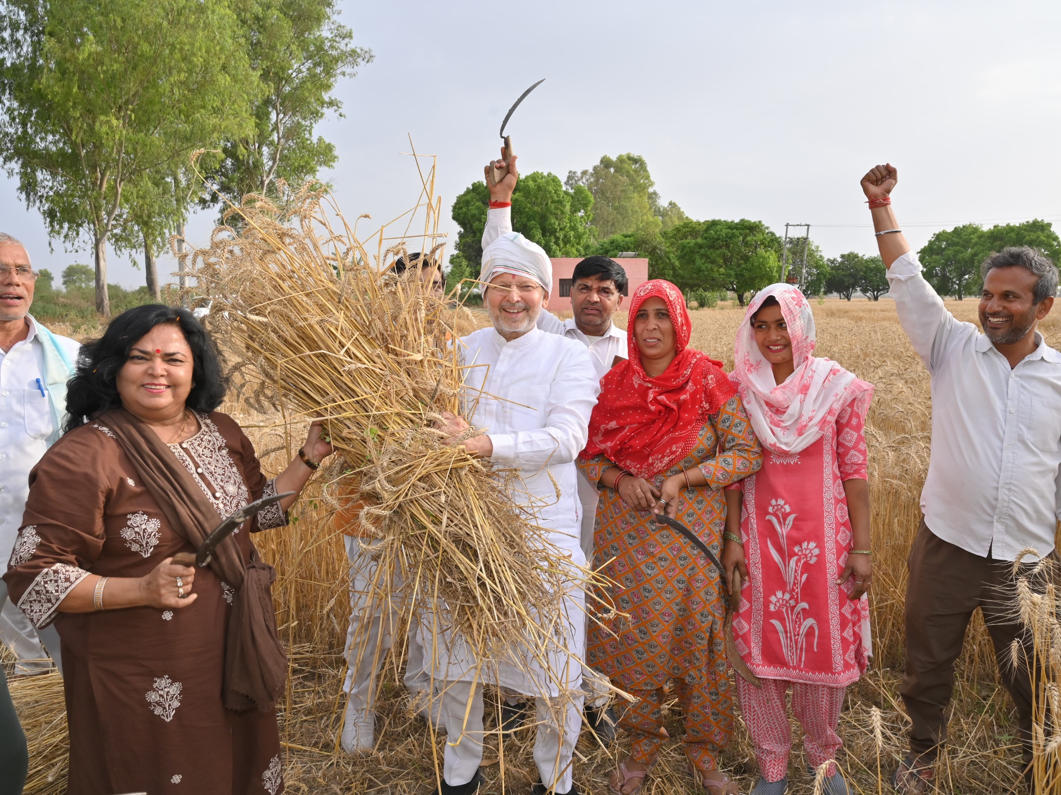 सहकारिता मंत्री डॉ. अरविंद शर्मा ने गेहूं काटने के बाद पूली भी बांधी। इस दौरान उनके साथ किसान और उनका परिवार भी मौजूद रहा। - Dainik Bhaskar