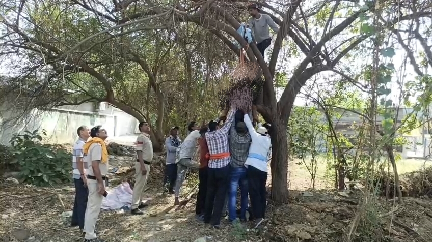 परिजनों की मौजूदगी में शव को पेड़ से नीचे उतारा गया।