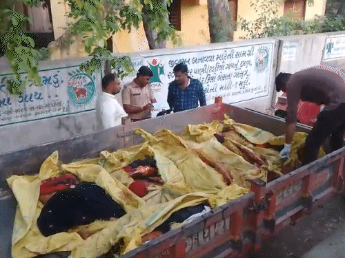 पोस्टमॉर्टम के लिए शव सुरेंद्रनगर सिविल हॉस्पिटल लाए गए।