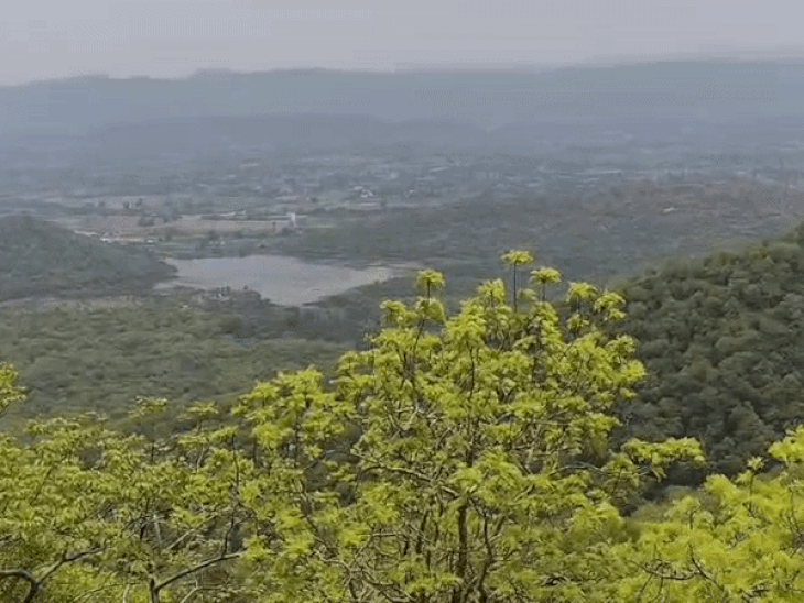 जयसमंद सेंचुरी और आसपास की एक तस्वीर।