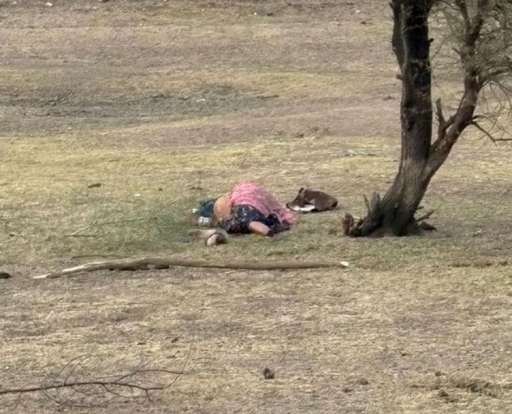 पाली के कराड़ी गांव प्यारीदेवी हत्याकांड में जल्द होगा खुलासा:  रिश्तेदार के यहां आए थे आरोपी, अकेला देख गहने लूटने के लिए की हत्या, फिर बैंगलोर भागे हत्यारे – Pali (Marwar) News