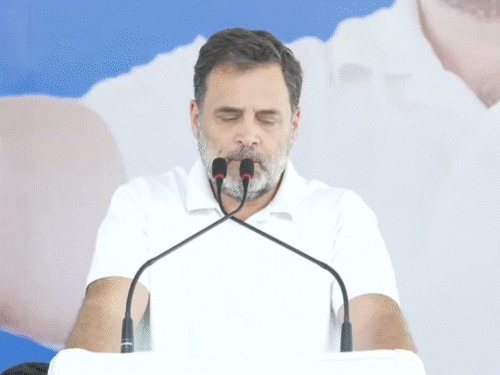 महिलाओं को हर महीने ₹2,000 और सालाना 3 LPG सिलेंडर फ्री का वादा, बंगाल में राहुल की सभा|देश,National - Dainik Bhaskar