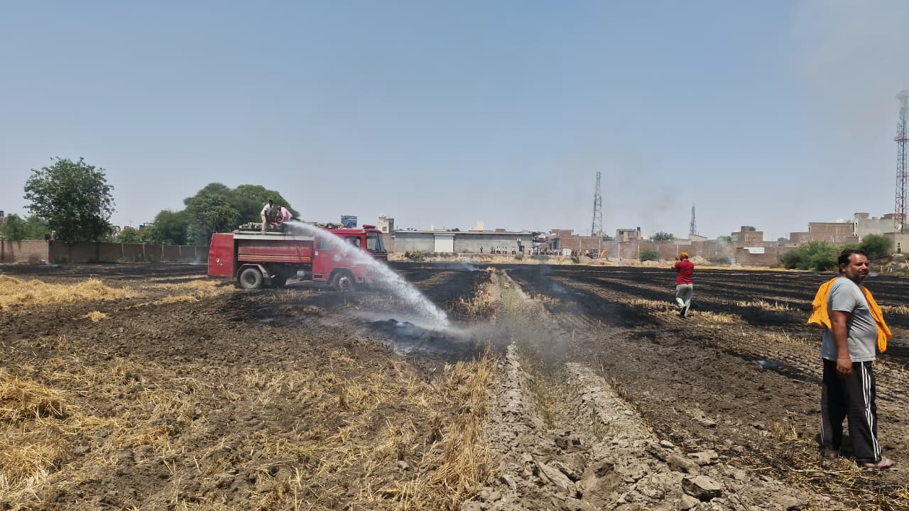 Raniyan Fire: Tractor Stops Wheat Residue Blaze Spread