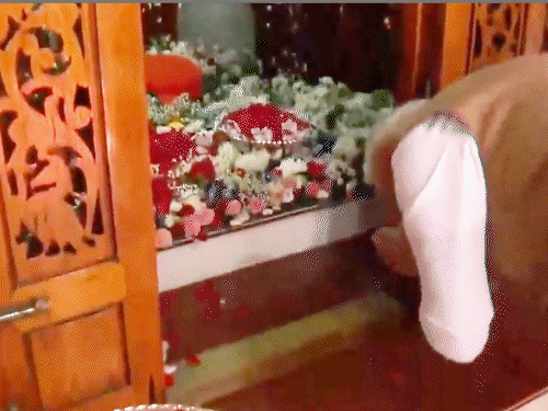 पीएम ने मंदिर परिसर को देखा और जानकारी ली।