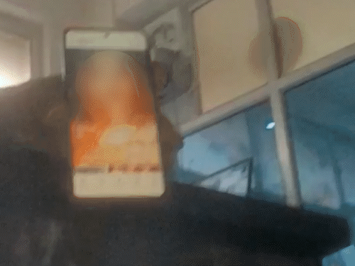 अफजल ने अपने मोबाइल पर कई महिलाओं की तस्वीरें दिखाईं। कहा कि ये सरोगेसी मदर बन सकती हैं।