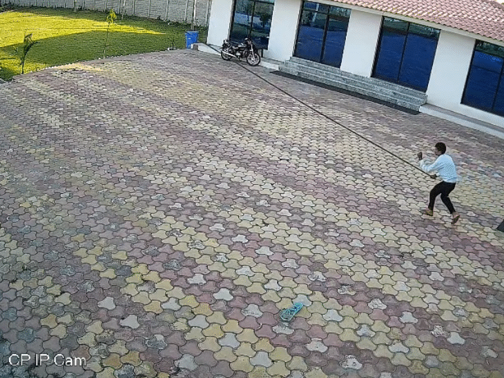 बंदरों को भगाने से पहले वह दो बार पाइप को जमीन पर पटकता है।