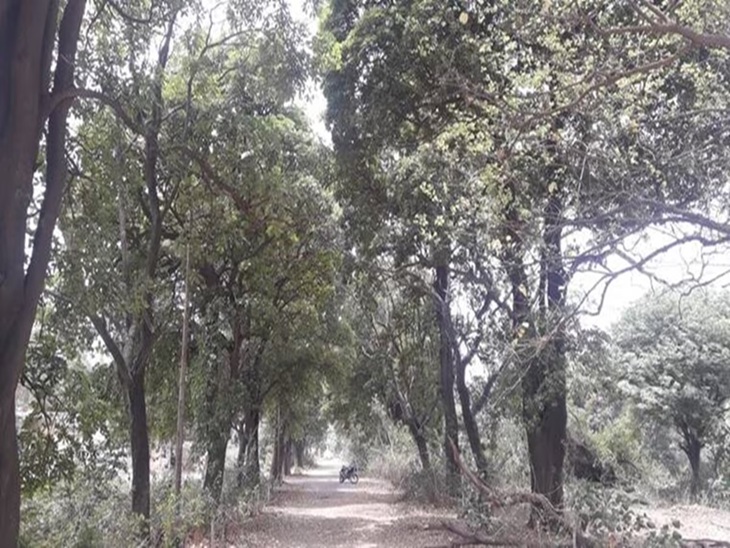 पंजाब वन विभाग के गार्ड को अलर्ट करते हुए।