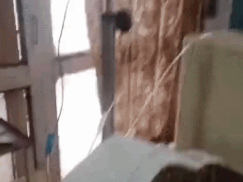 PGI में जितेंद्र के पास बैठी पत्नी अनीता ने बताया कि ऊपर से कूदने के दौरान जितेंद्र नीचे खड़ी एक ट्रॉली पर जा टकराया। जिससे उसके शरीर के अंदर के हिस्सों पर गंभीर चोटें आई हैं।