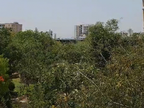 India Weather Update