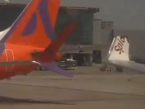 दिल्ली एयरपोर्ट पर गुरुवार को दोपहर 2 बजे हादसा हुआ। - Dainik Bhaskar