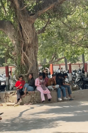 गोरखपुर में धूप से बेहाल लोग पेड़ों की छांव में बैठे दिखे।