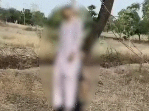 पेड़ पर लटका मिला प्रेमी युगल का शव।
