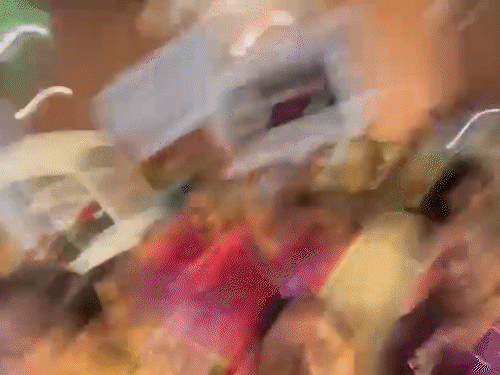 महिला सांसदों ने ‘महिला का अपमान, नहीं सहेगा हिंदुस्तान’ के नारे लगाए।