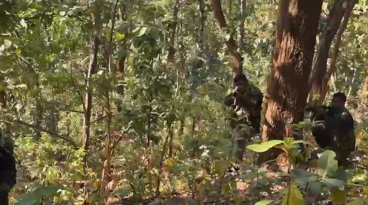 सुरक्षाबलों ने जवाबी कार्रवाई में चार नक्सलियों को मार गिराया। (फाइल)