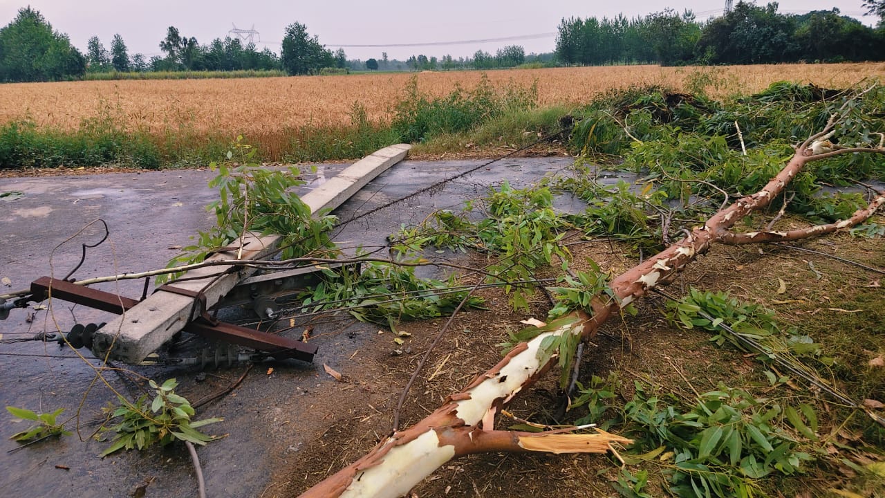 मुजफ्फरनगर में कई जगहों पर आंधी से पेड़ उखड़ गए।