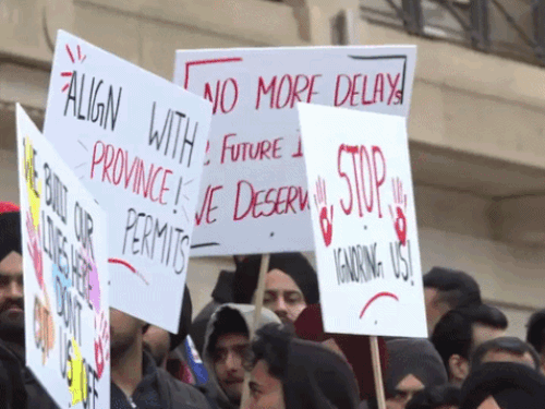 वर्क परमिट बढ़ाने की मांग को लेकर कनाडा के विनिपेग में प्रदर्शन करते स्टूडेंट्स।