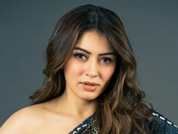 तलाक के बाद टूट गई थीं एक्ट्रेस हंसिका मोटवानी:  जिंदगी के डार्क फेज से गुजरीं, परिवार और थेरेपी से मिली ताकत