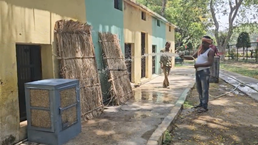 अन्य बाड़ों में भी हाई पावर कूलर लगाए जा रहे हैं।