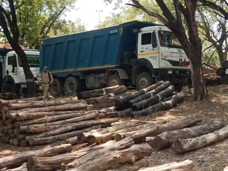 काष्टागार में खड़े रेत डंपर। - Dainik Bhaskar