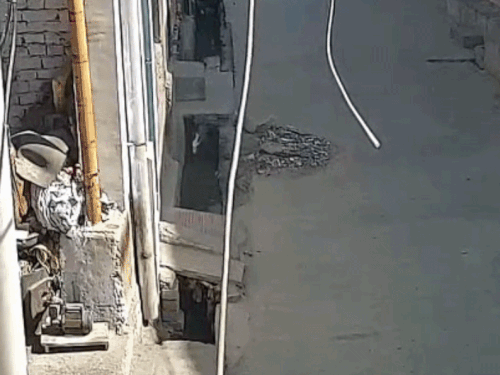 चोरी के बाद युवक पास की गली में भाग गया।