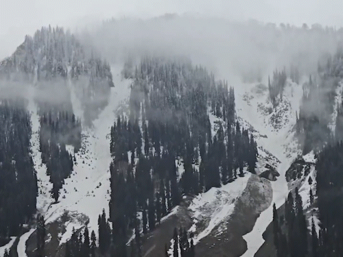 सोनमर्ग के ऊपरी इलाकों में रविवार को ताजा बर्फबारी हुई।