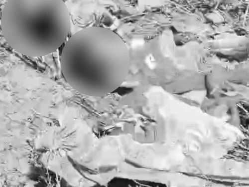 हादसे के बाद बस के बाहर पड़े घायल।