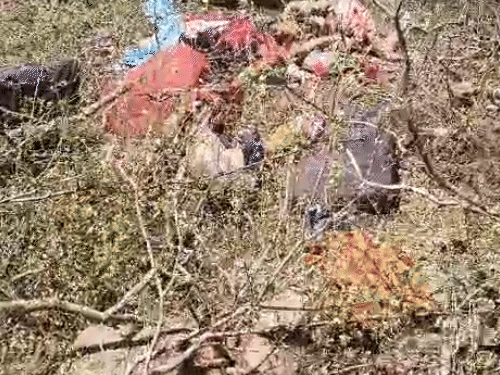 एक्सीडेंट में घायल हुए बस में सवार लोग।