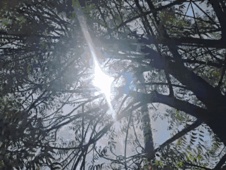 गोड्डा, पाकुड़ और साहिबगंज में आंशिक बादल छाए रह सकते हैं। हल्की बारिश की संभावना भी जताई गई है।