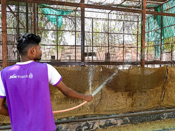 बीकानेर में गर्मी से बचाने के लिए कर्मचारी पक्षियों के पिंजरे को बारदाने से कवर करके रखे हैं। ठंडक के लिए इन पर पानी छिड़का जा रहा है।