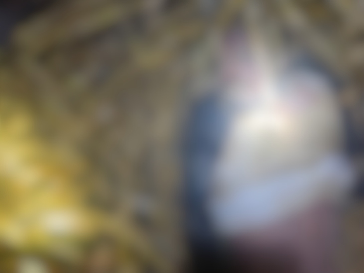 घर के मवेशियों को बचाने के क्रम में हाथियों ने पटक कर मार डाला।