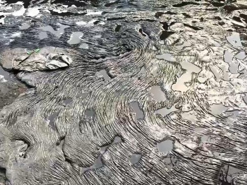 टैंक फटने के बाद गर्म हार्ड पीच फैक्ट्री के अंदर फैल गया