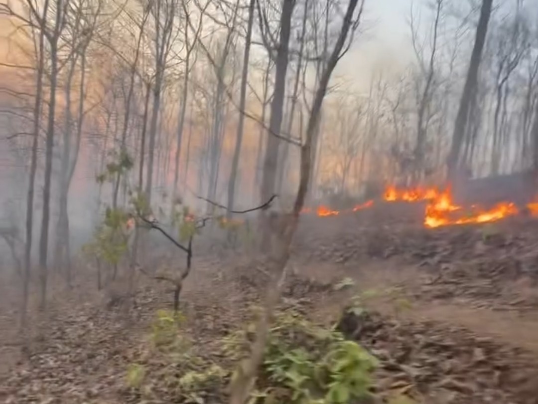 जंगल में फैलती आग।