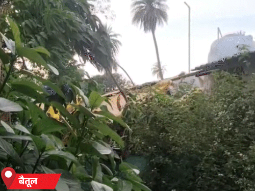 बैतूल में सुबह से बादल छाए हैं। हवा भी चल रही है।