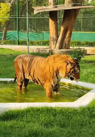 सावधान! यूपी के 10 जिलों में चलेगी लू, अब रातों में पड़ेगी भीषण गर्मी