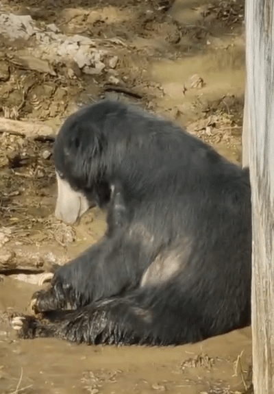 सावधान! यूपी के 10 जिलों में चलेगी लू, अब रातों में पड़ेगी भीषण गर्मी