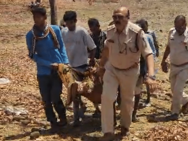 दोनों के शवों को पेड़ से उतारकर लेकर जाते पुलिसकर्मी।